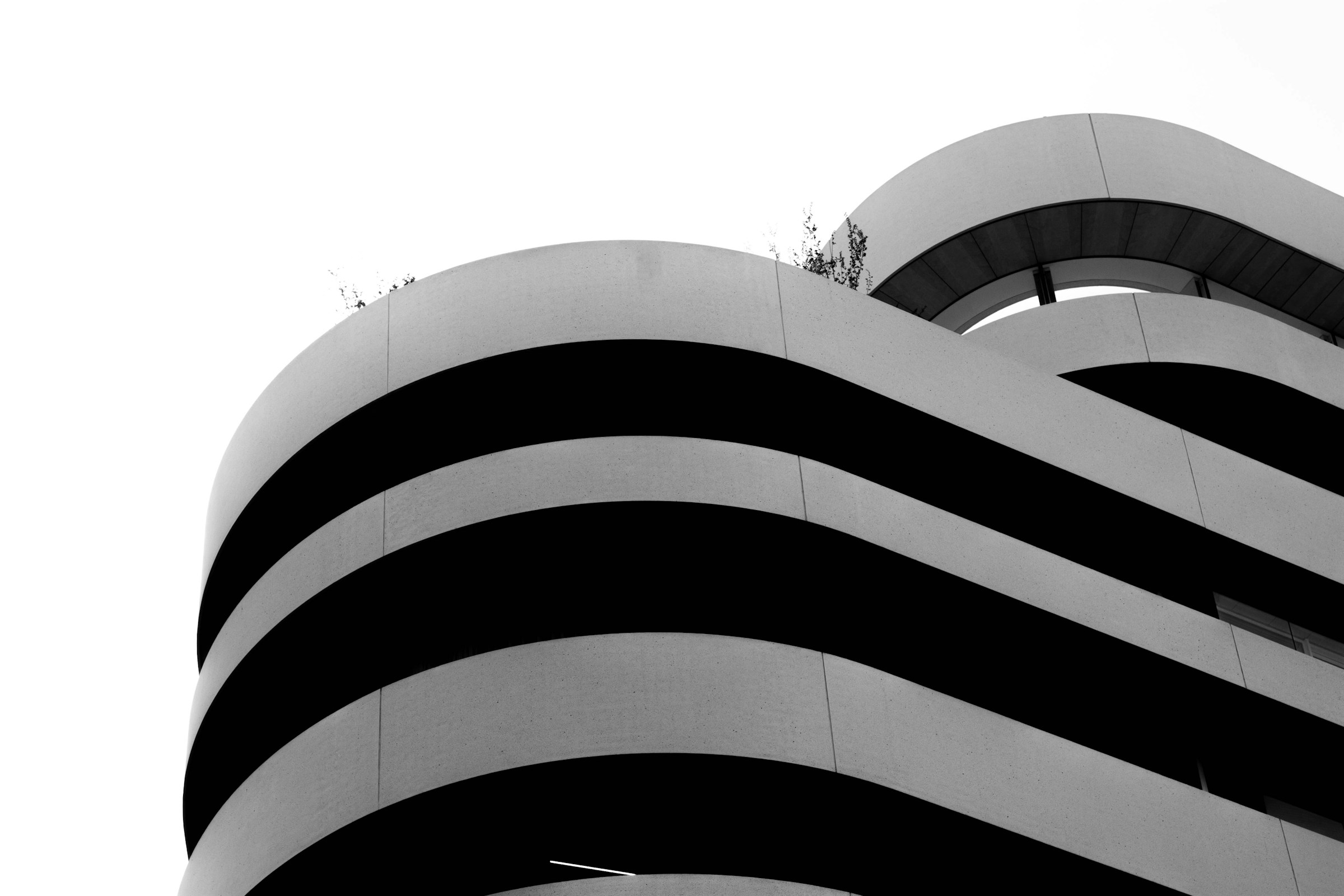 Curved concrete architecture with strong lines and deep shadows
